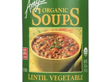 Amy s - Lentil Vegetable Soup, 14.5oz Online now