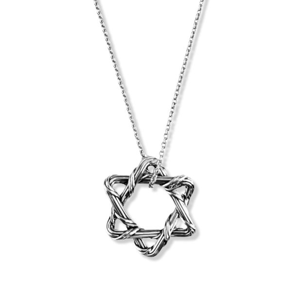 Signature Classic Medium Star of David Necklace in sterling silver Hot on Sale