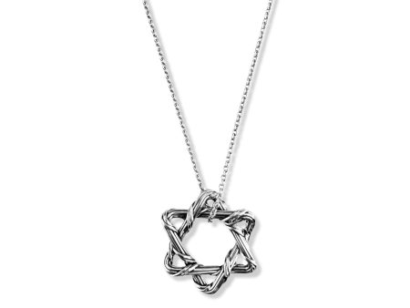 Signature Classic Mini Star of David Necklace in sterling silver Online now